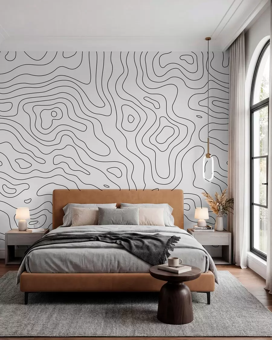 wall murals topographic map u70650