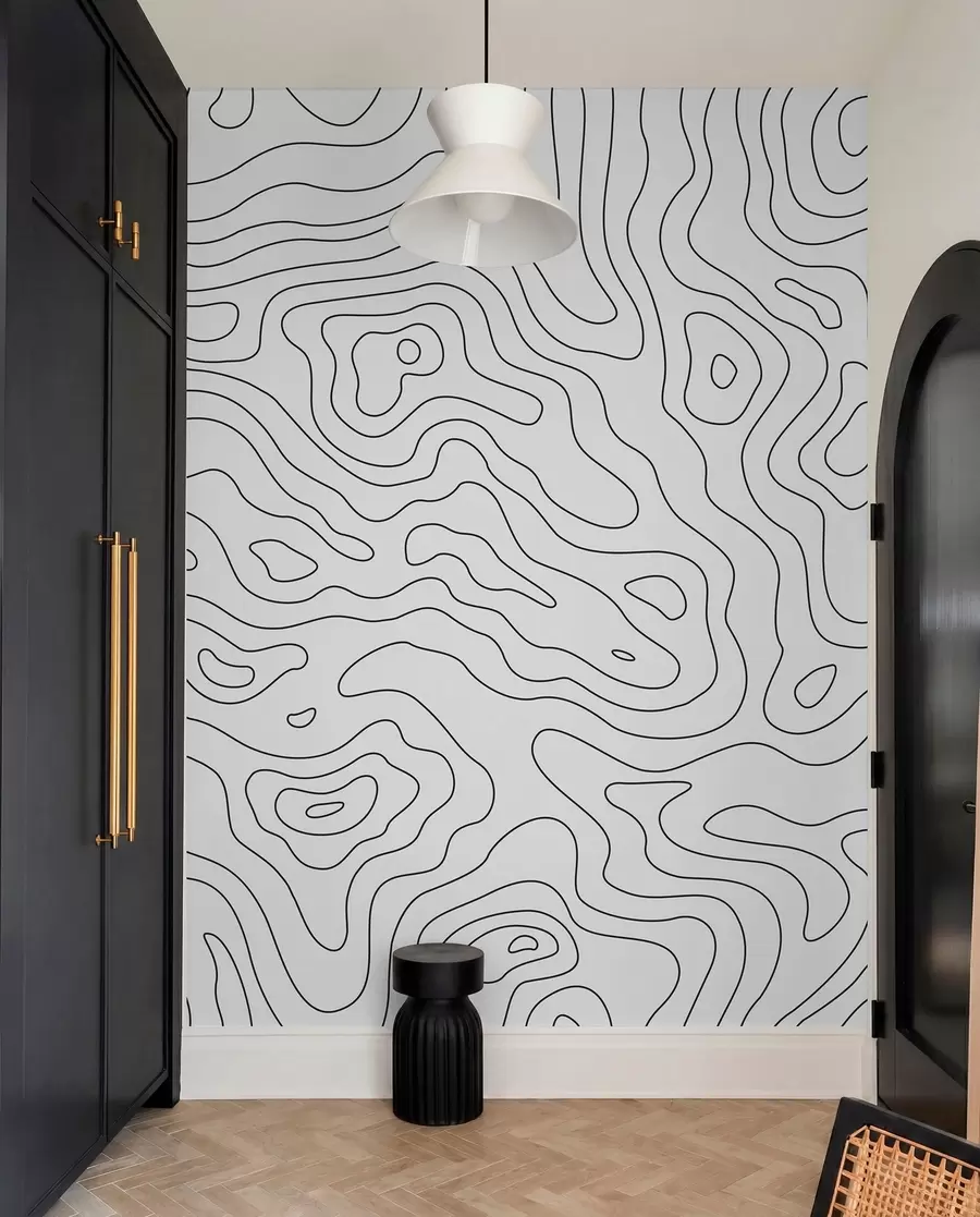 wall murals topographic map u70650