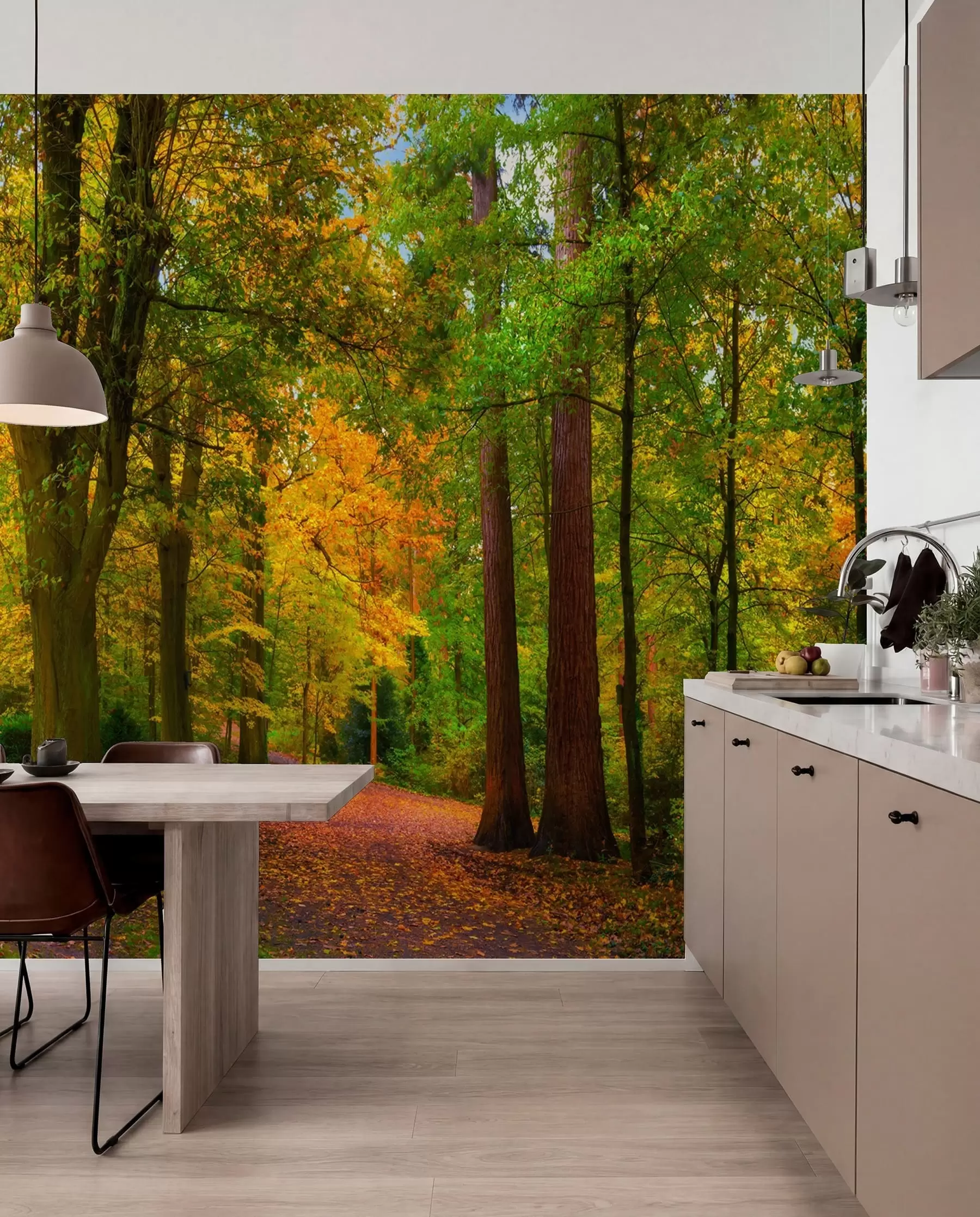 wall murals Beginning of autumn u08547