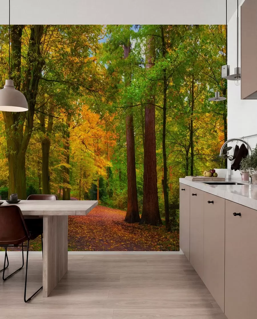 wall murals First Gold of Autumn u08547