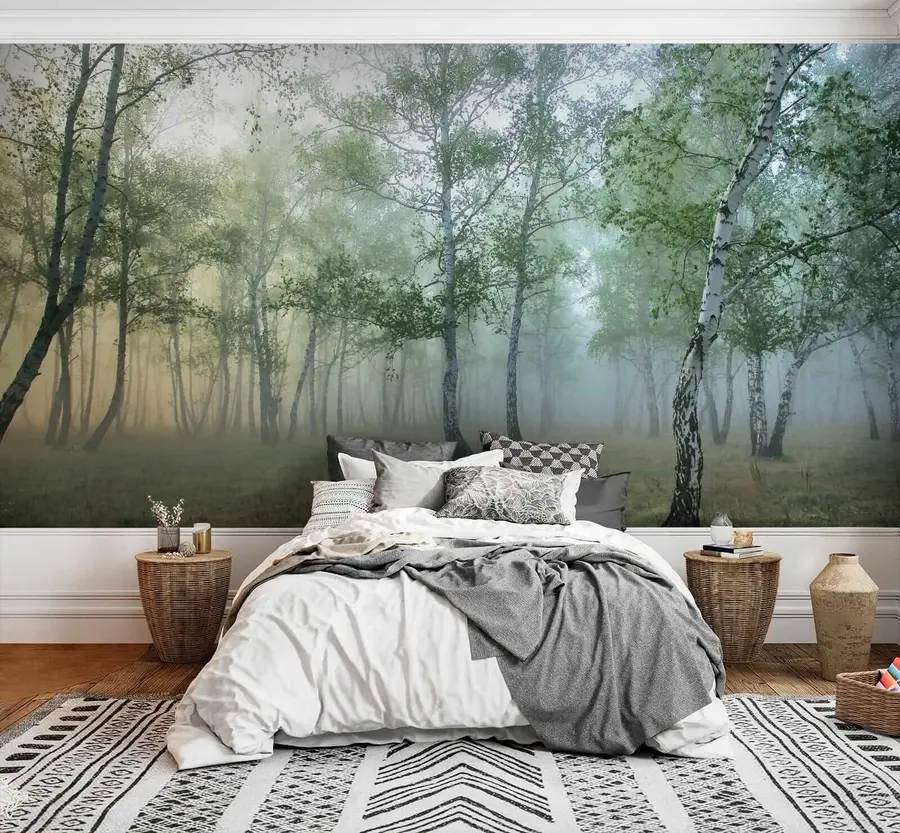 wall murals Fog Birch Forest u25820
