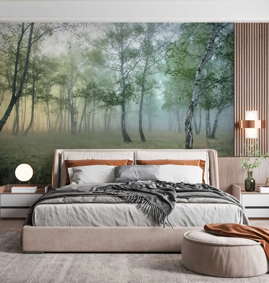 wall murals Fog Birch Forest u25820
