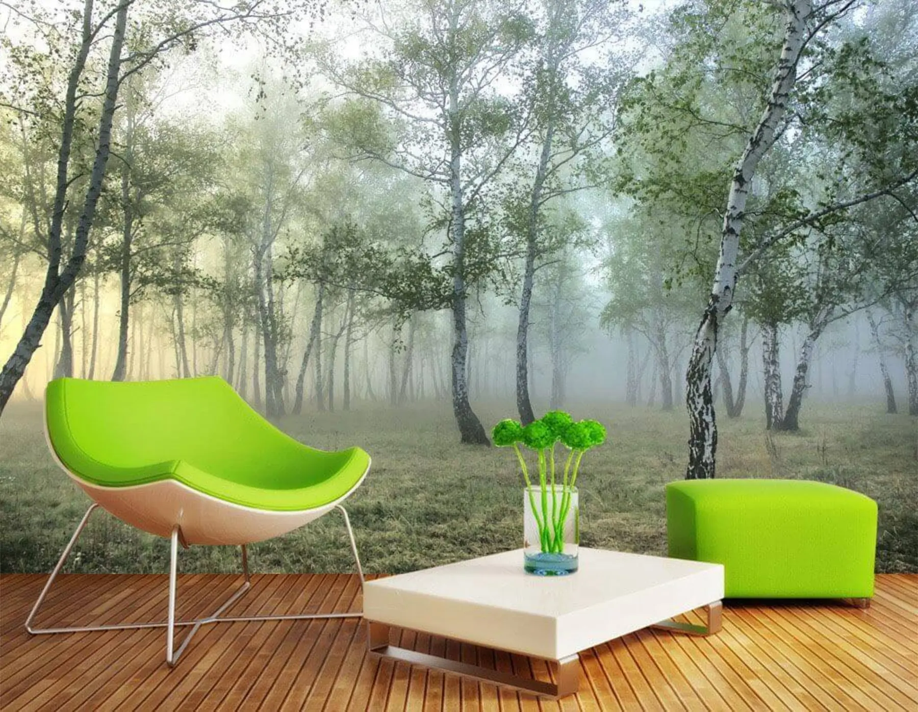 wall murals Fog Birch Forest u25820