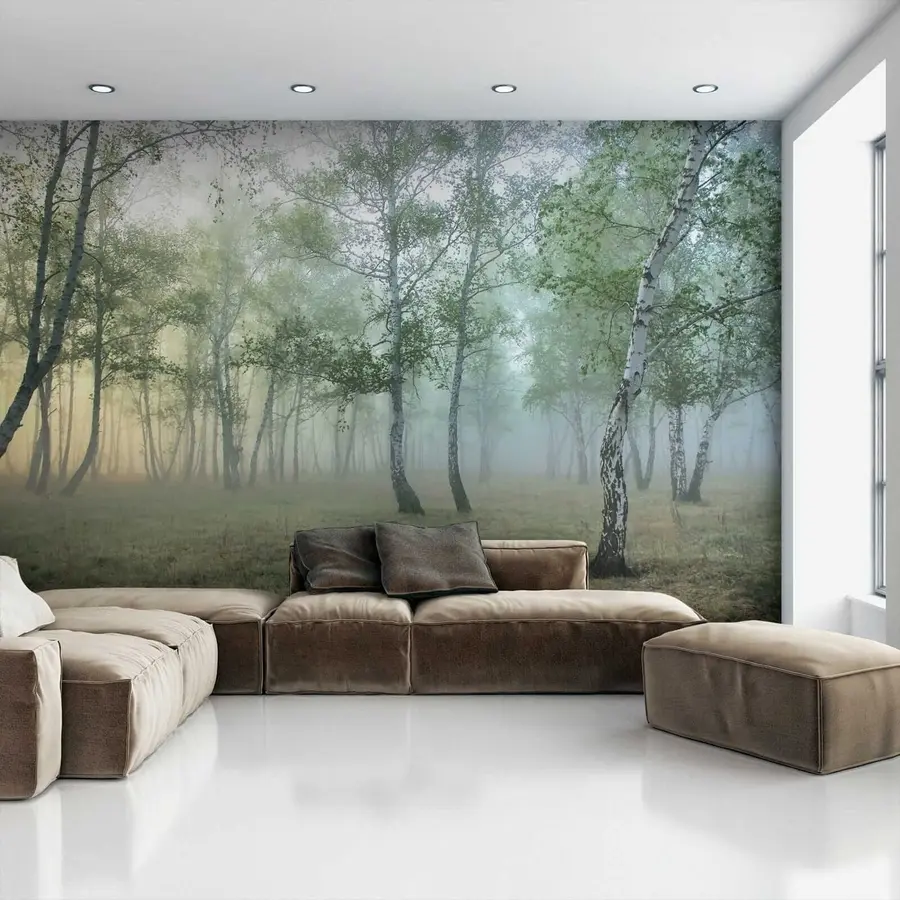 wall murals Fog Birch Forest u25820