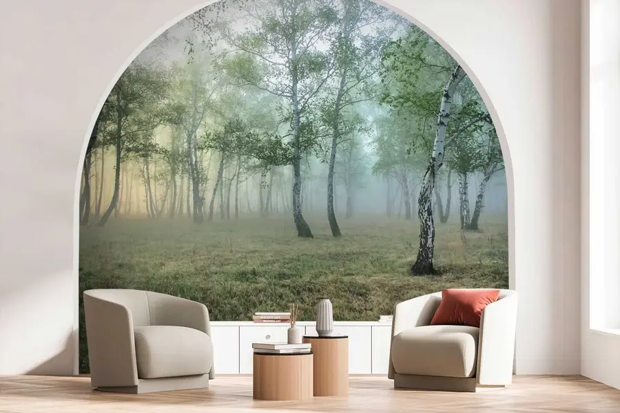 wall murals Fog Birch Forest u25820