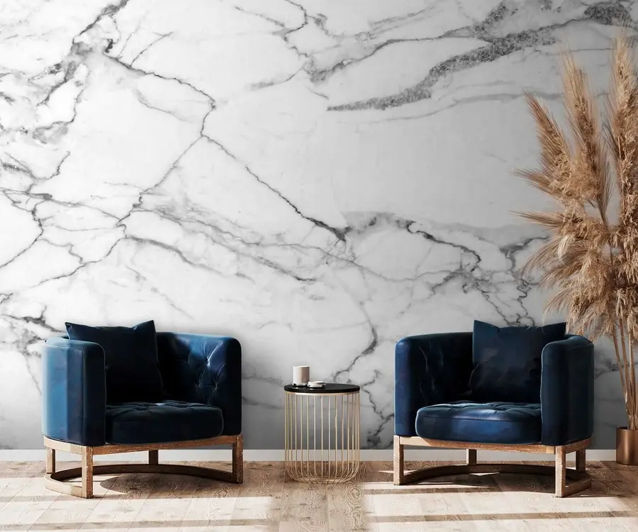 wall murals Ecoregion, natural environment and dry lake u32602