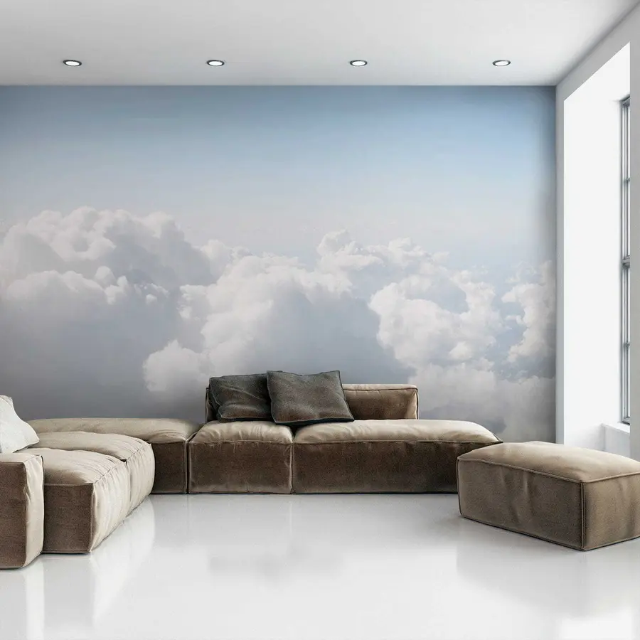 wall murals Flight in the clouds u35954