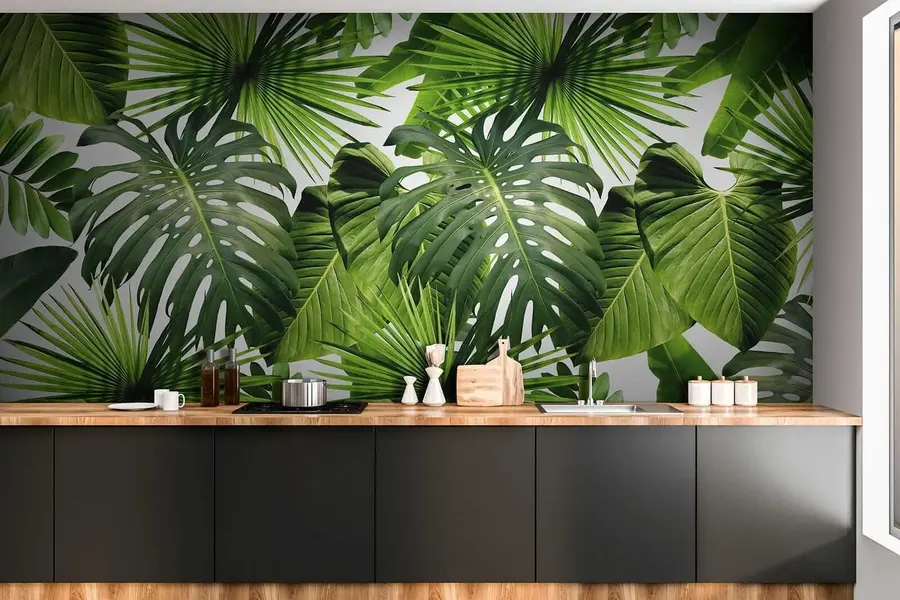 wall murals Tropical greens u37767