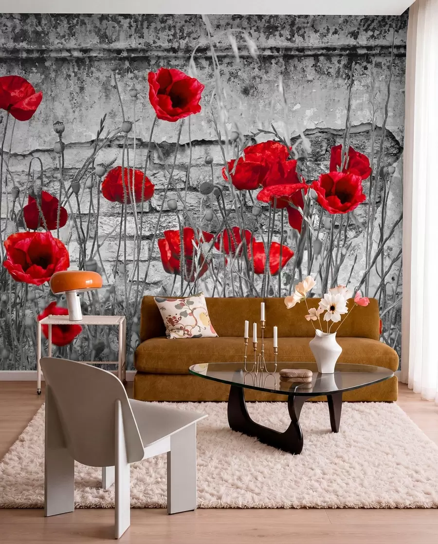 wall murals Flower, colorfulness and plant u40552