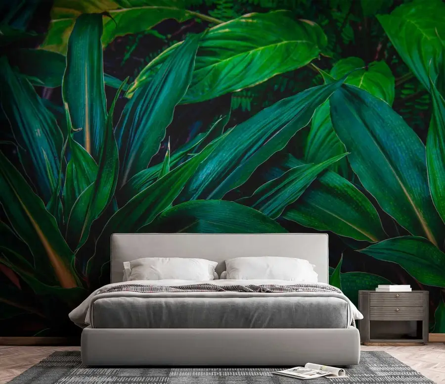 wall murals Plant, terrestrial plant and groundcover u41136