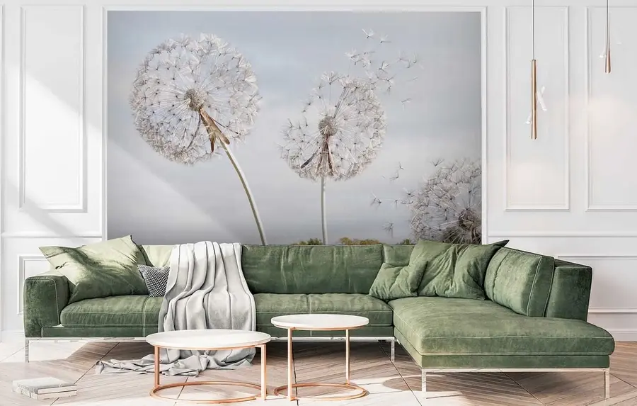 wall murals Big dandelions u44628