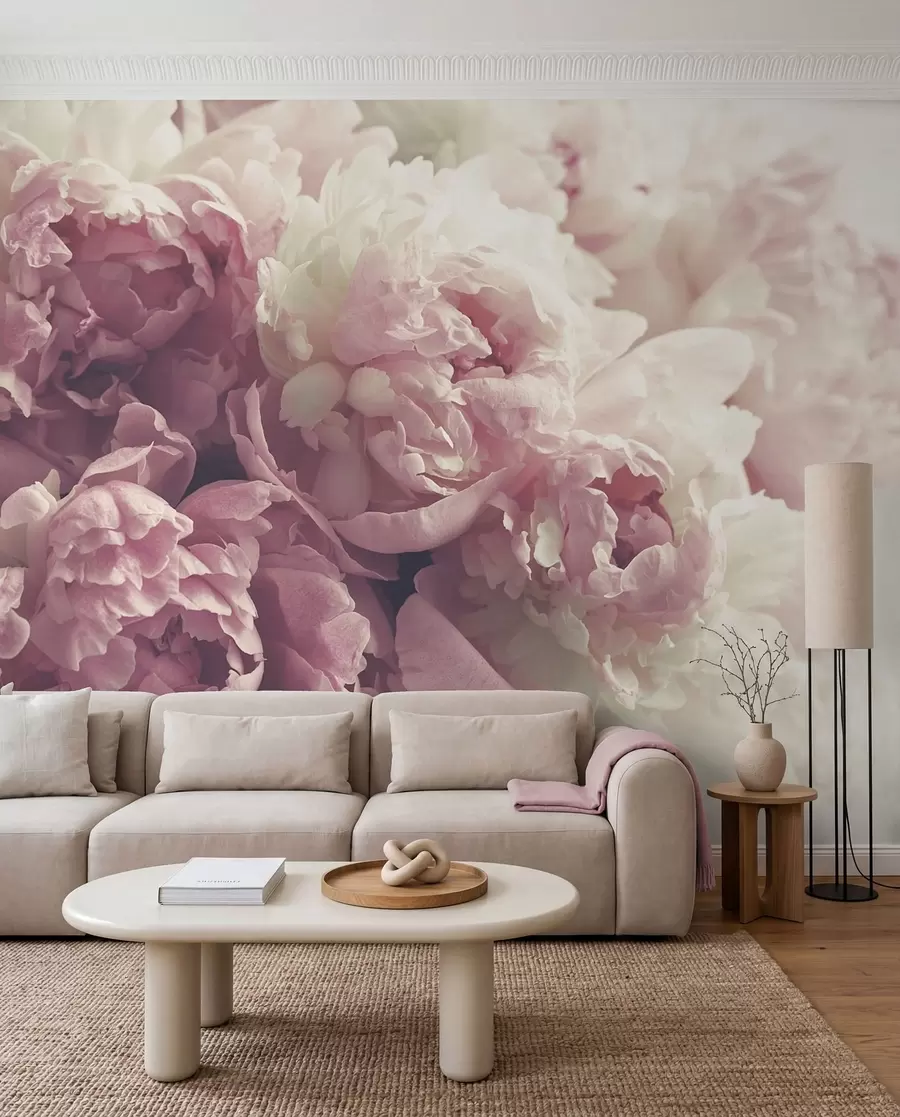 wall murals Flower, petal and pink u44746