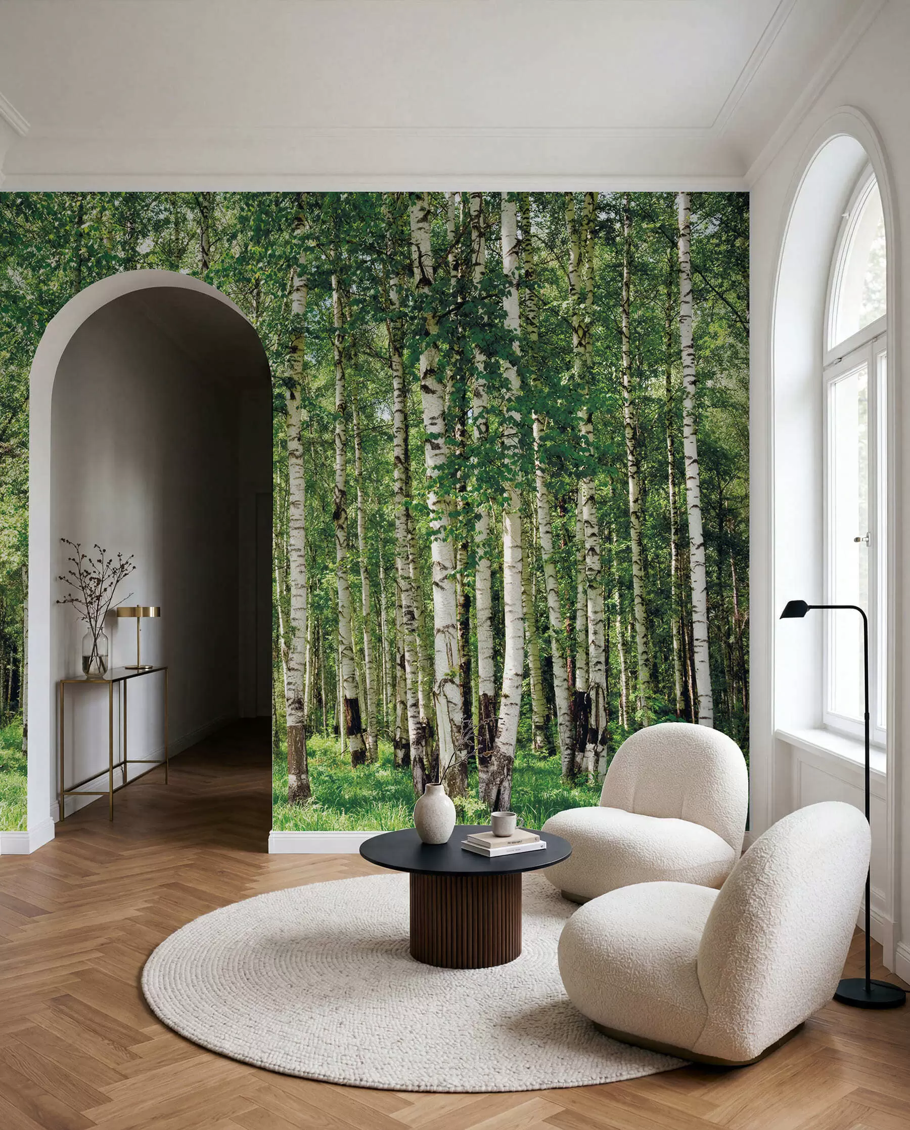 wall murals Birch forest u52530