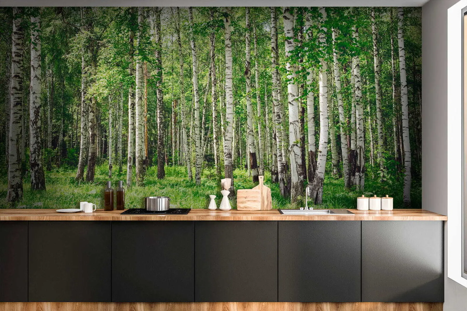 wall murals Birch forest u52530