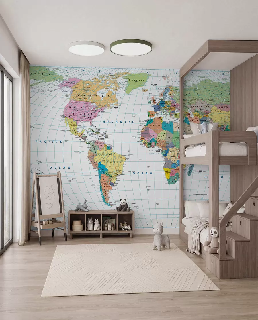 wall murals World map u53652