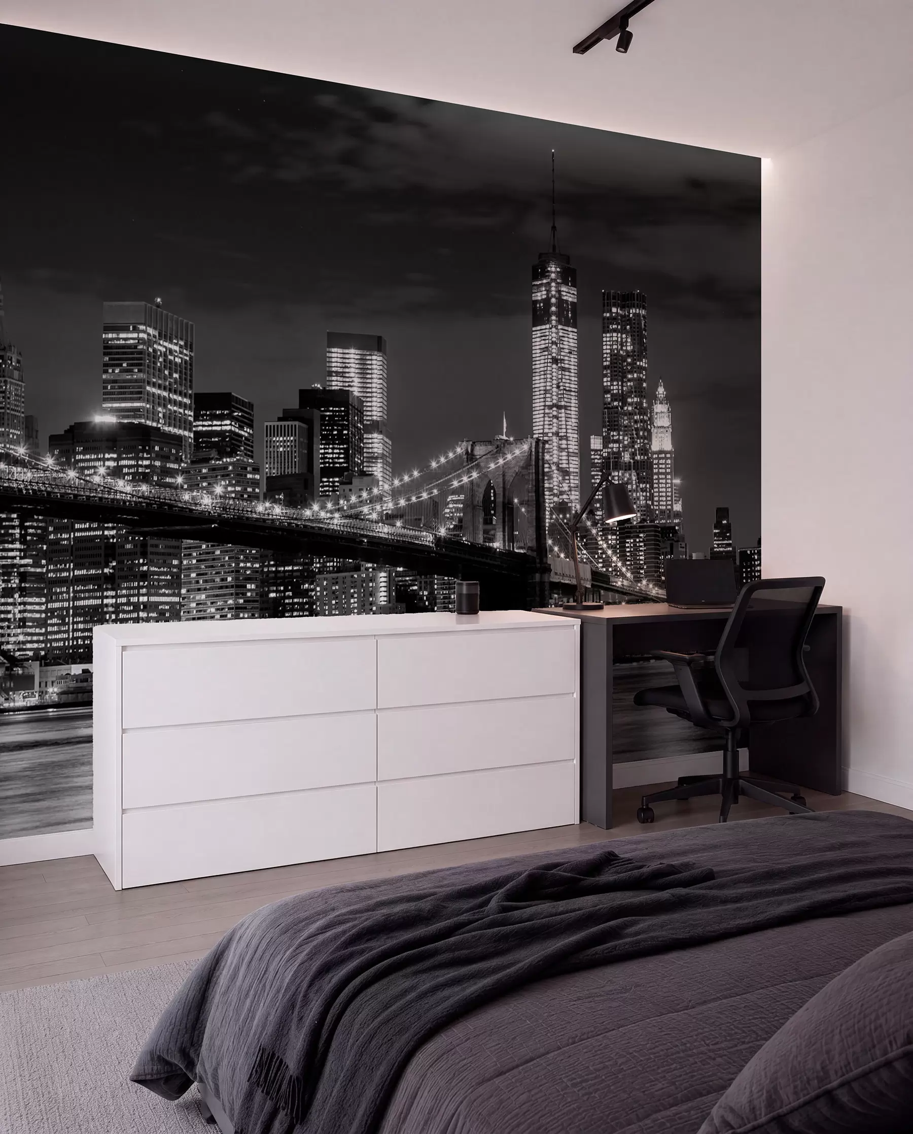 wall murals Brooklyn in Monochrome u56428
