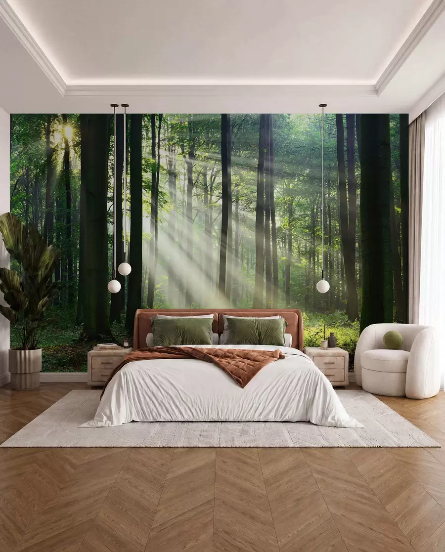 wall murals Sun Through the Trees u56787