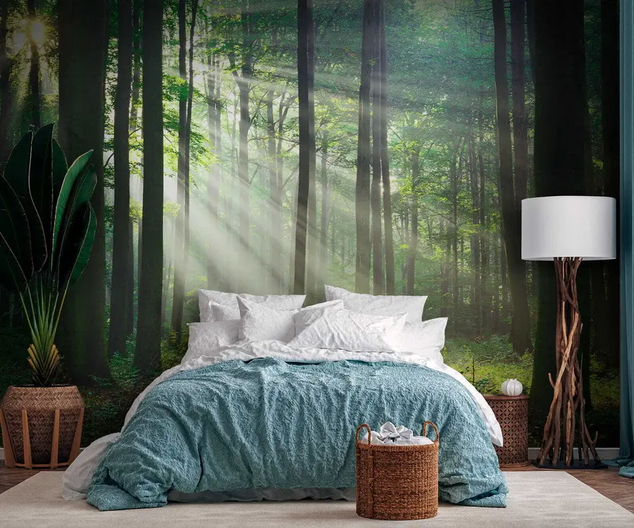 wall murals Plant, green and ecoregion u56787