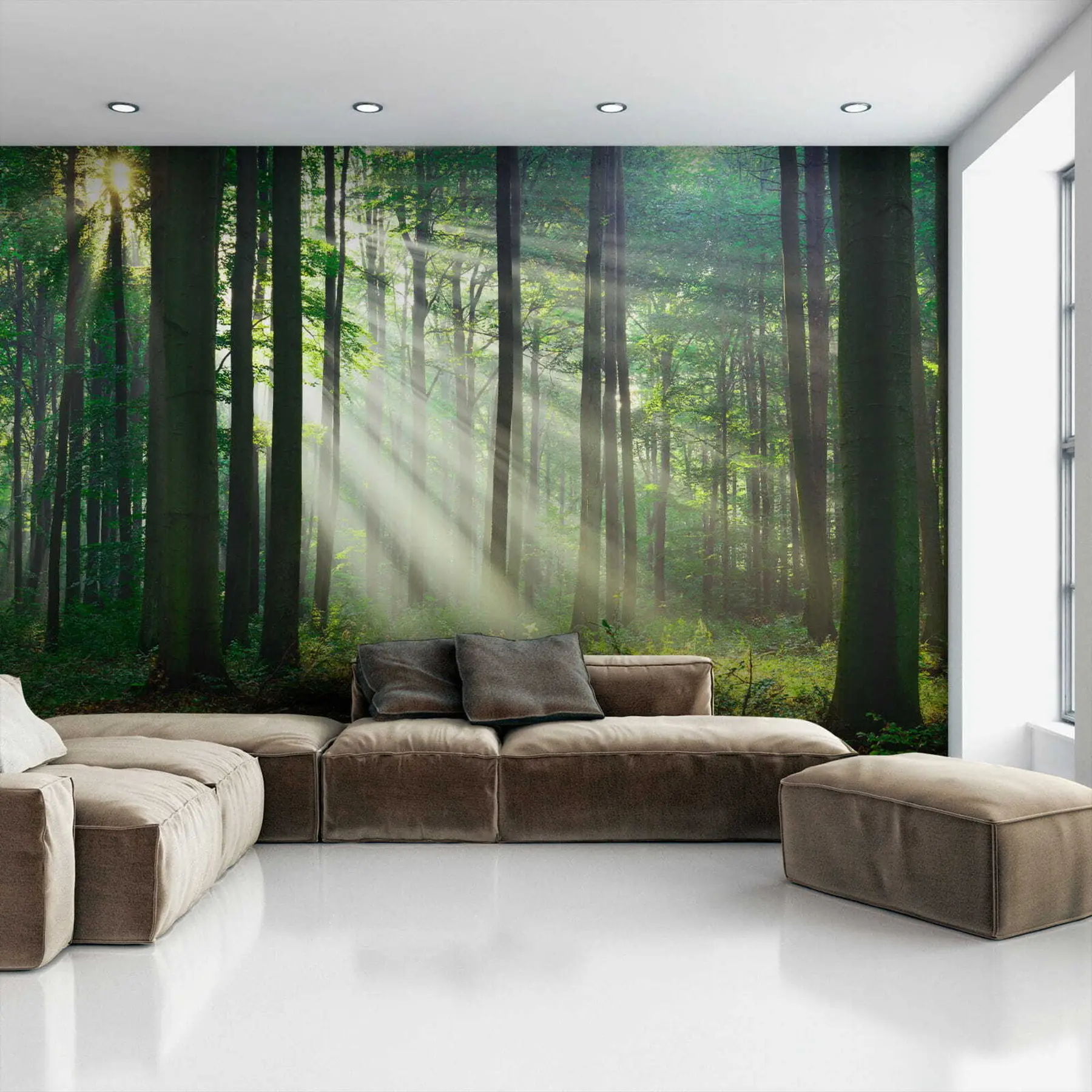 wall murals Plant, green and ecoregion u56787