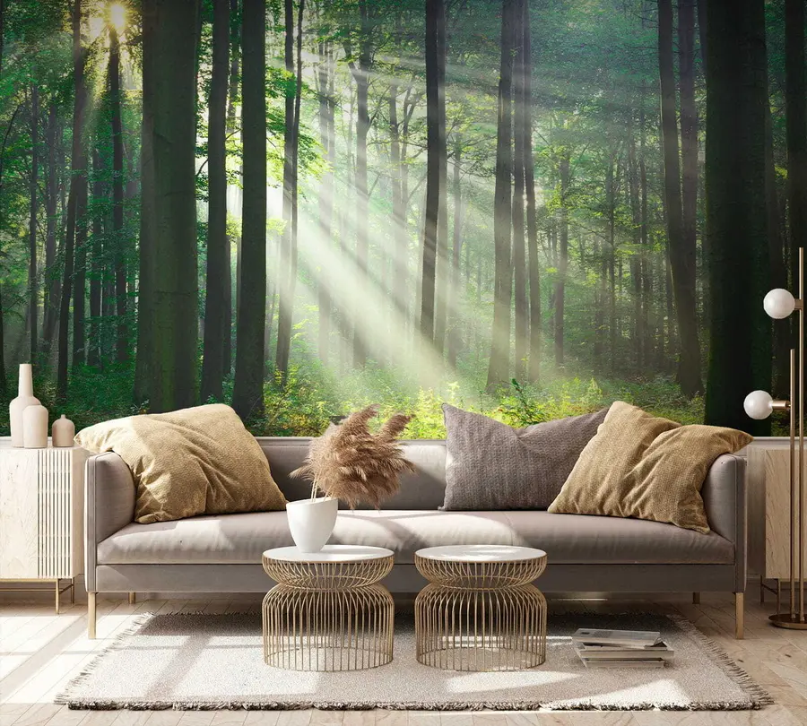 wall murals Plant, green and ecoregion u56787