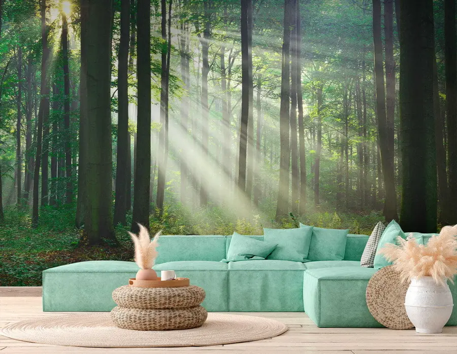 wall murals Plant, green and ecoregion u56787