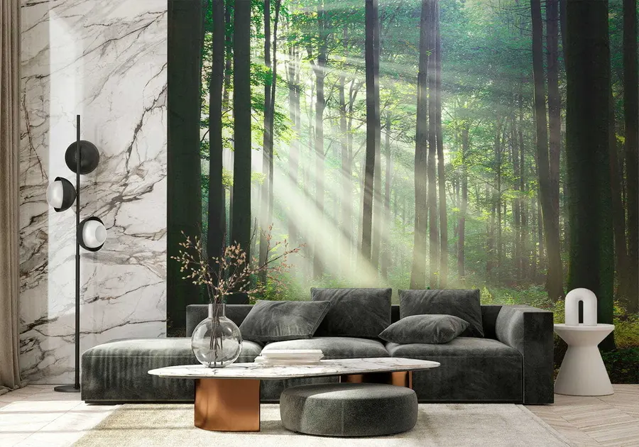 wall murals Plant, green and ecoregion u56787