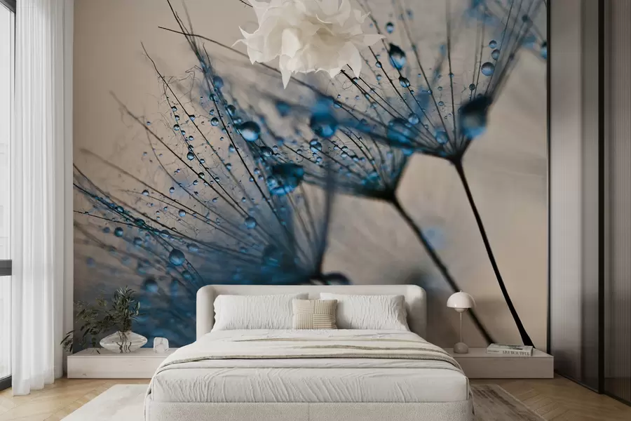 wall murals Dandelions with drops of water u57557