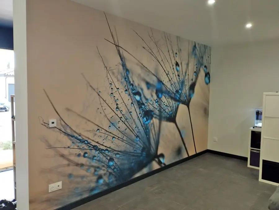 wall murals Dandelions with drops of water u57557