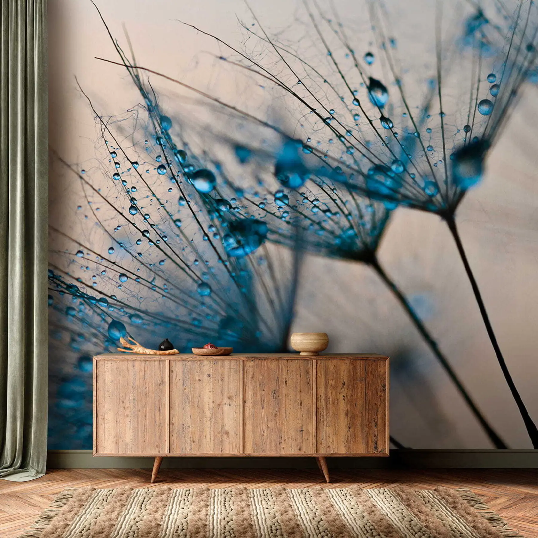 wall murals Dandelions with drops of water u57557