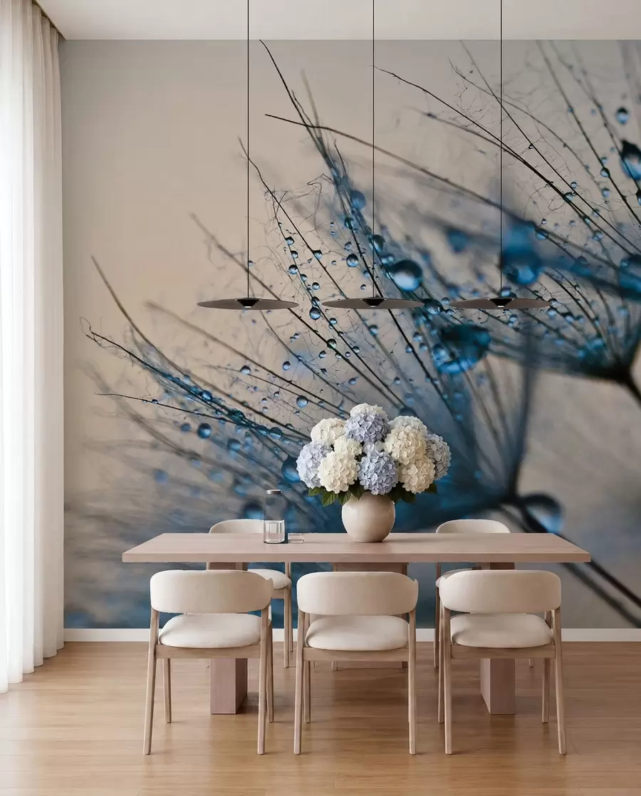 wall murals Dandelions with drops of water u57557