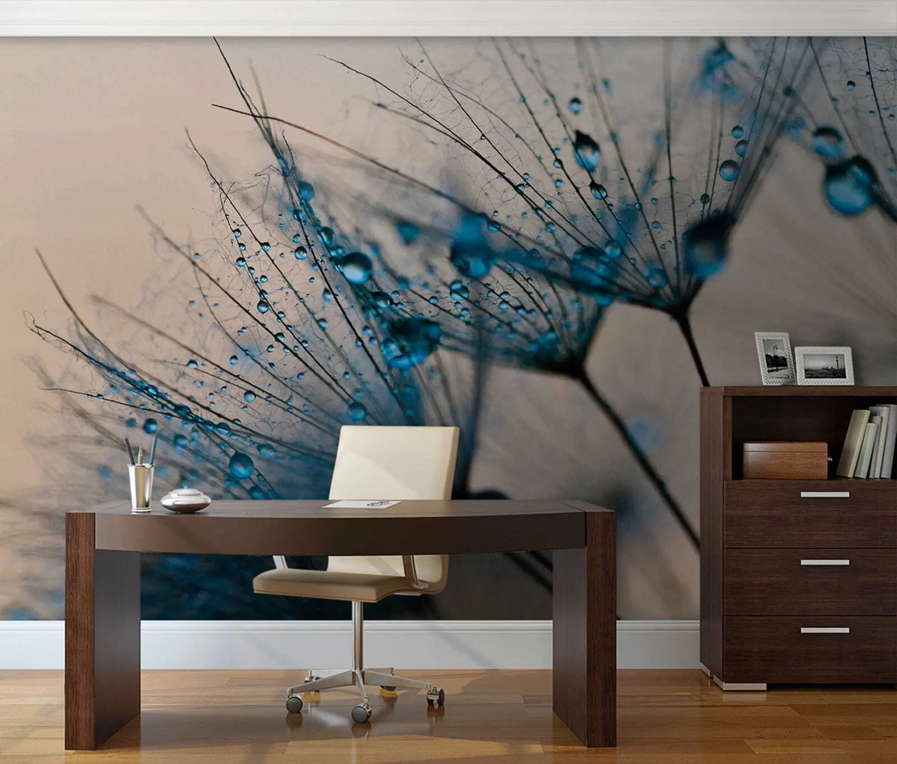 wall murals Dandelions with drops of water u57557