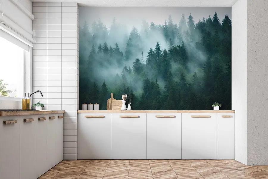 wall murals Foggy forest u57914