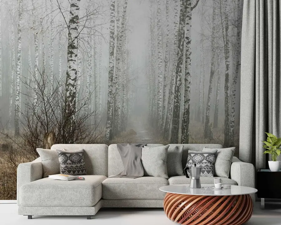 wall murals Birches in the fog u58950