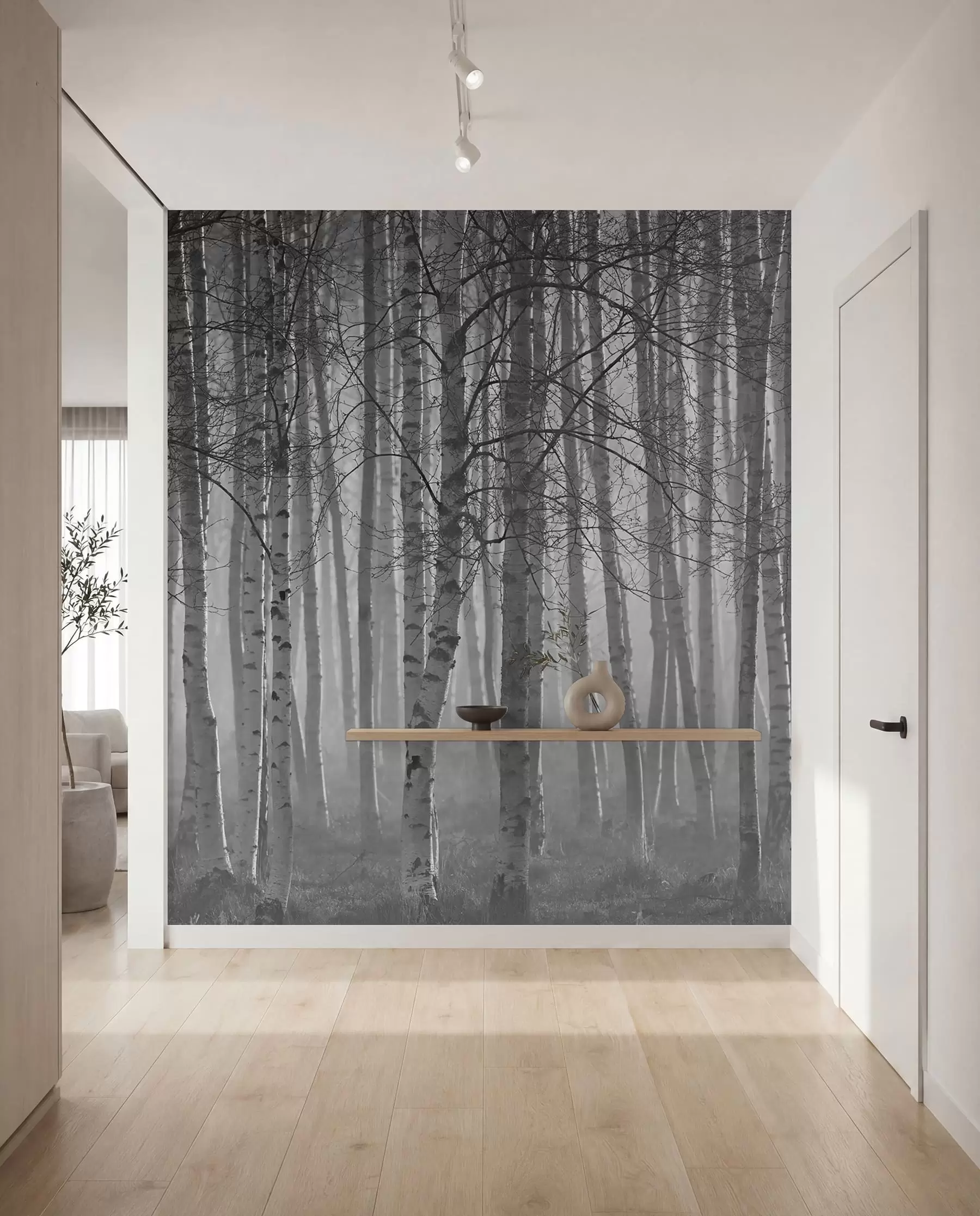 wall murals Morning mist in the birch forest u58971