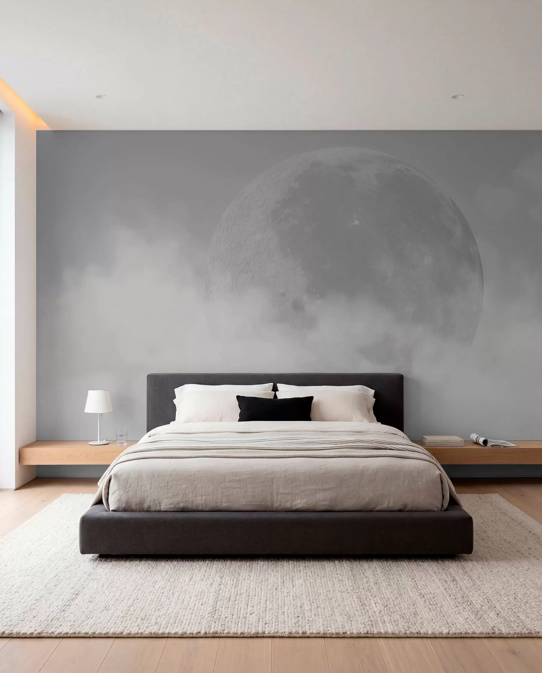 wall murals Moon in a Silver Sky w00548v1