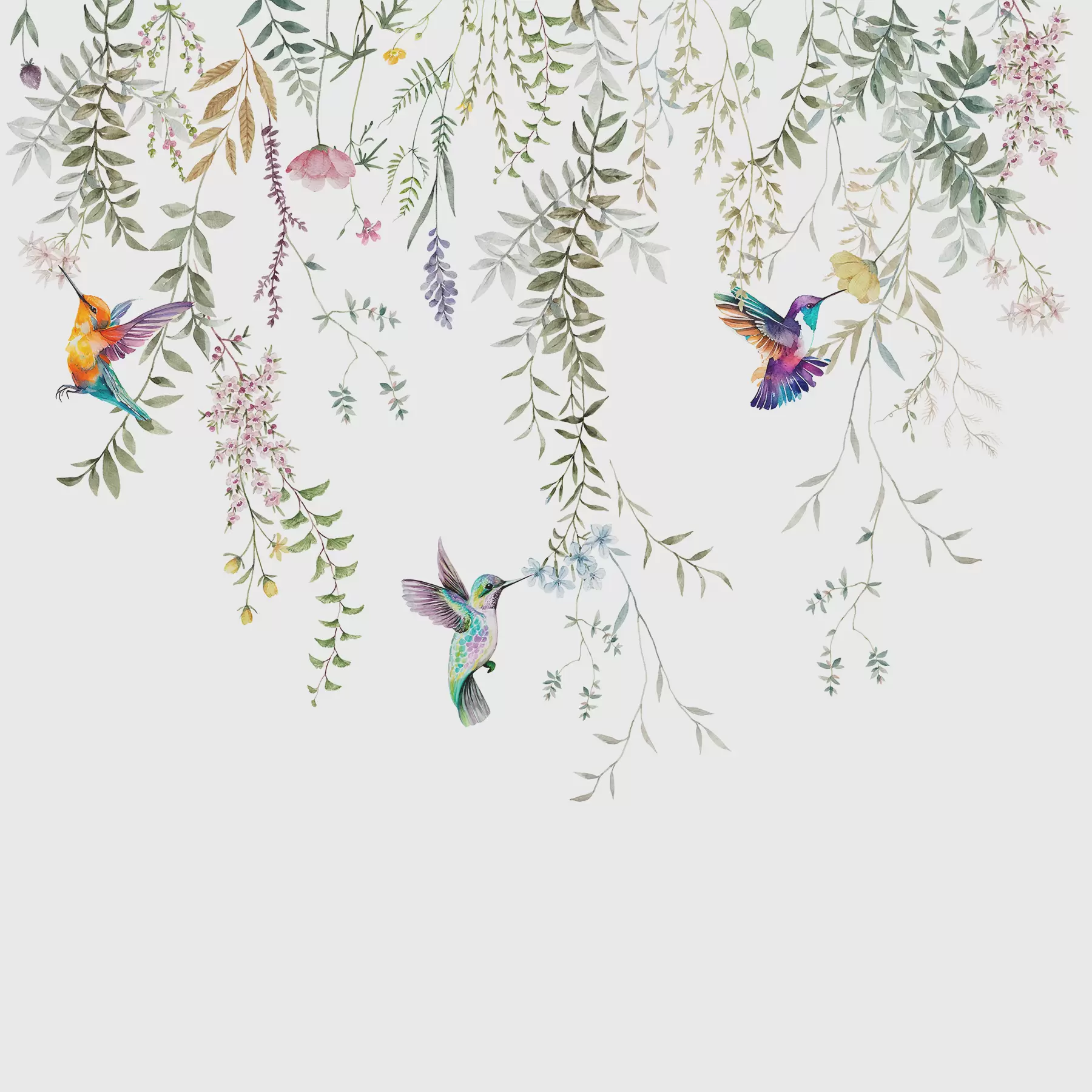 wall murals Hanging flowers and leaves and beautiful hummingbirds w00660
