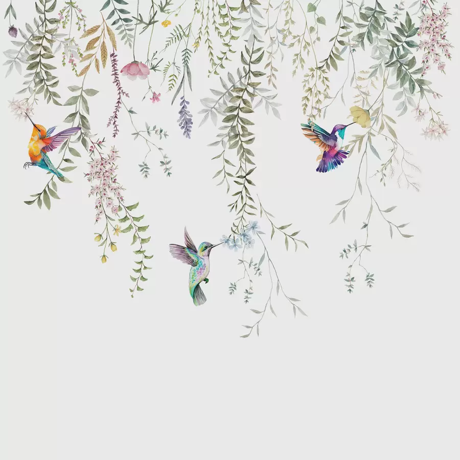 wall murals Hanging flowers and leaves and beautiful hummingbirds w00660