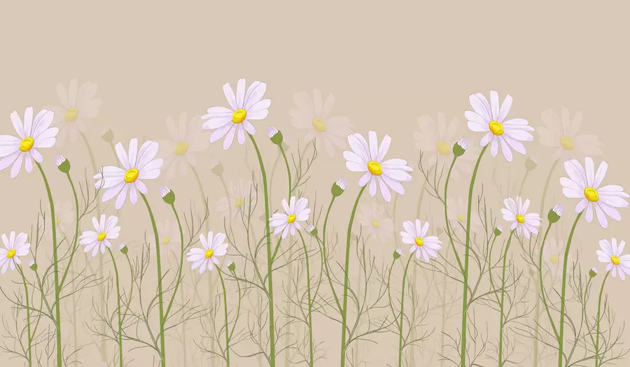 wall murals large daisies on a beige background w00802