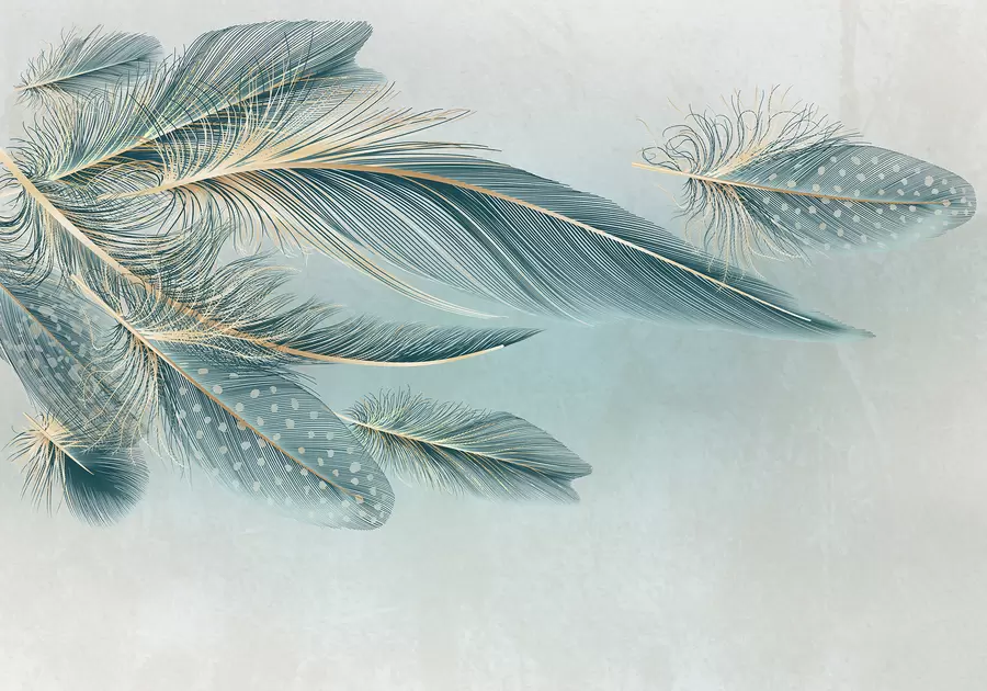 wall murals Delicate feathers in shades of blue w01312