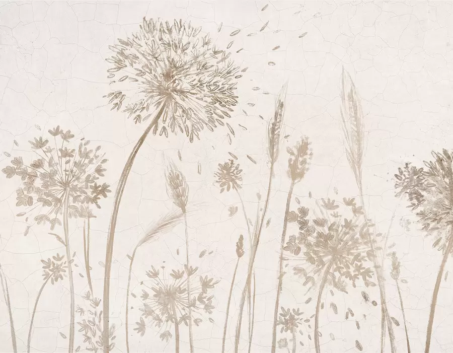 wall murals A field of dandelions and other wildflowers against a soft, hazy background w07921