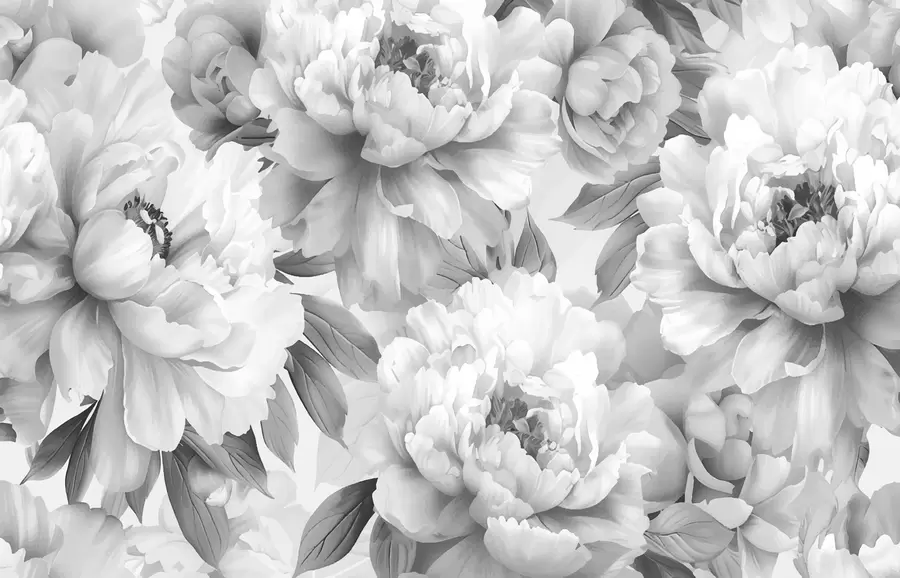 wall murals Black and white peonies w08068