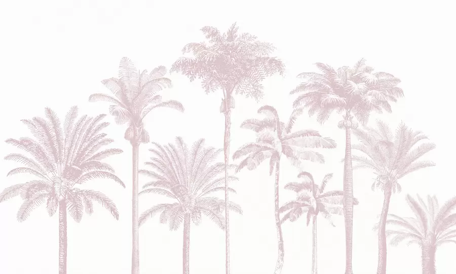 wall murals Tropical palm trees oasis minimal pink color w08111v1