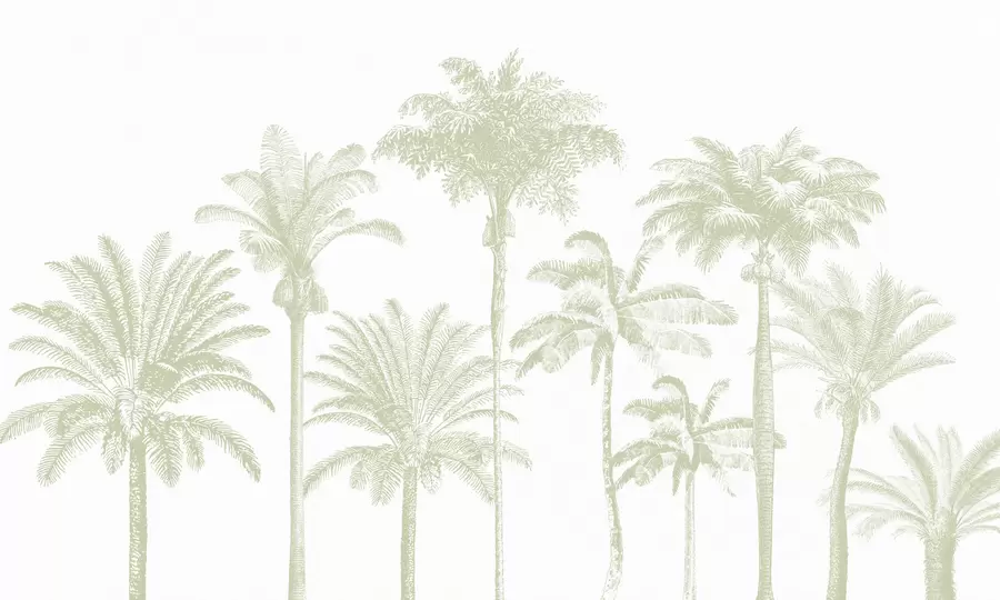 wall murals Tropical palm trees oasis minimal green color w08111v3