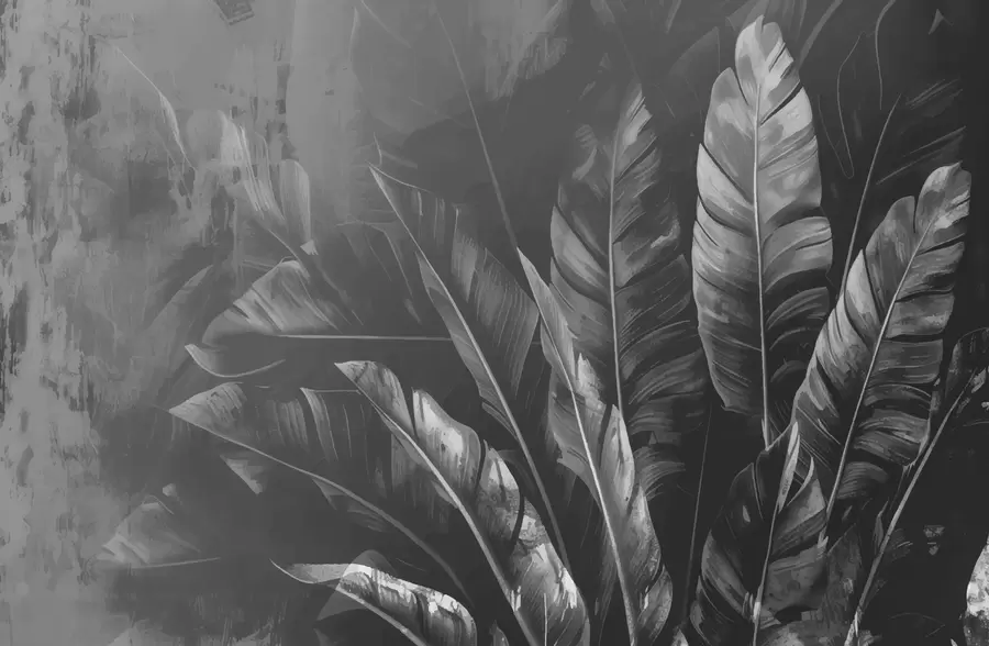 wall murals Black leaves w00971