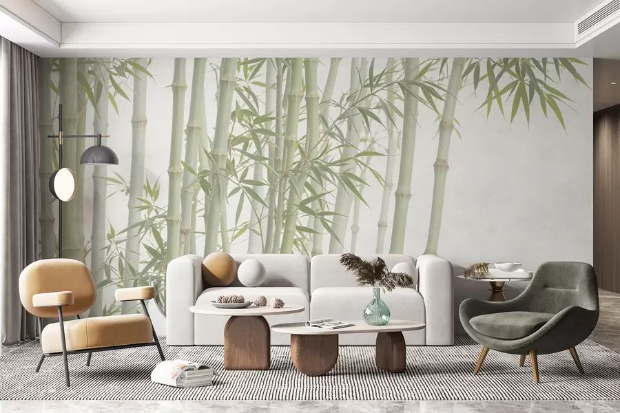 wall murals A dense bamboo forest with tall bamboo stalks and green leaves against a soft, hazy background w08237