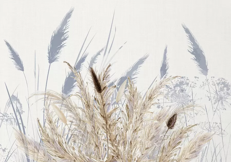 wall murals Tall stalks of wheat and grass with fluffy white plumes against a light background w08282