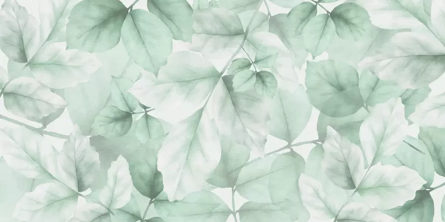 wall murals Textured wallpaper with large leaves in pastel shades of green w01090v3