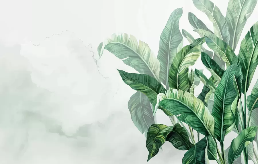 wall murals banana leaves, large leaves, green leaves, tropical leaves w01630