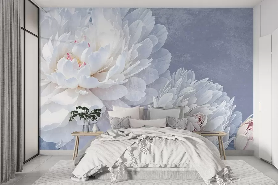 wall murals White detailed peony flowers with soft, delicate petals against a light pastel blue textured background w08379
