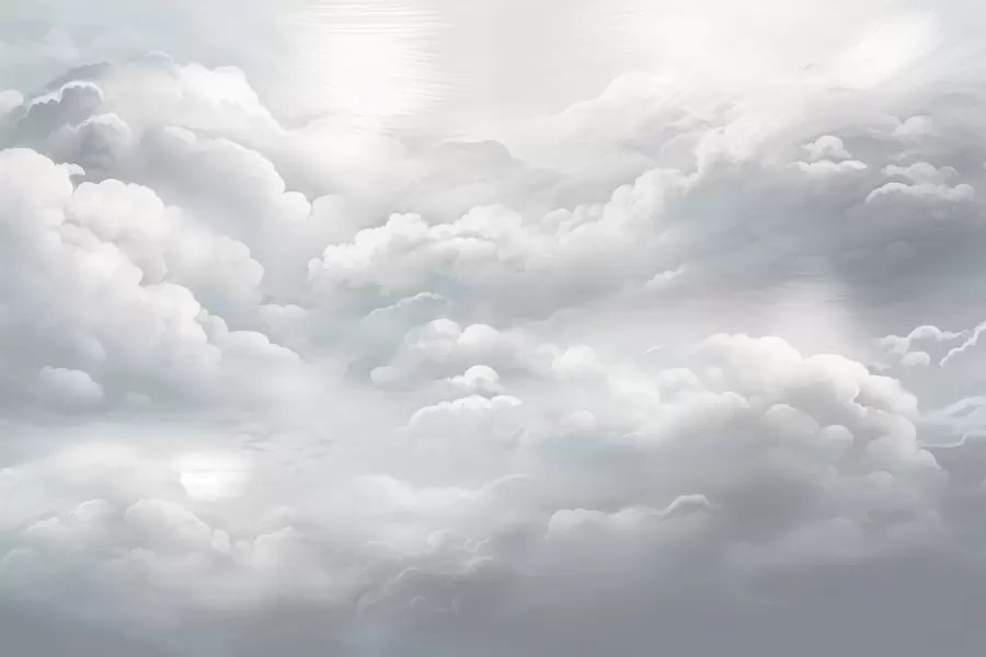 wall murals Clouds in grey w02189v1